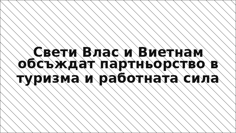 Свети Влас и Виетнам обсъждат партньорство в туризма и работната сила