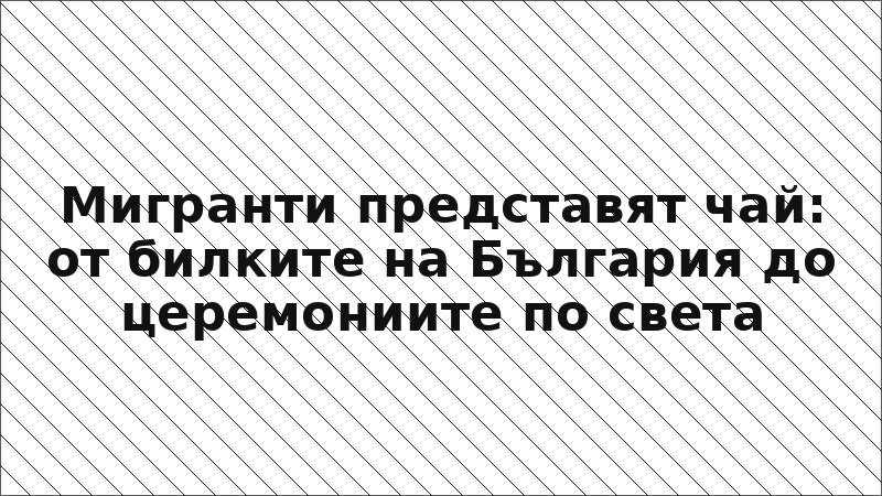 Мигранти представят чай: от билките на България до церемониите по света
