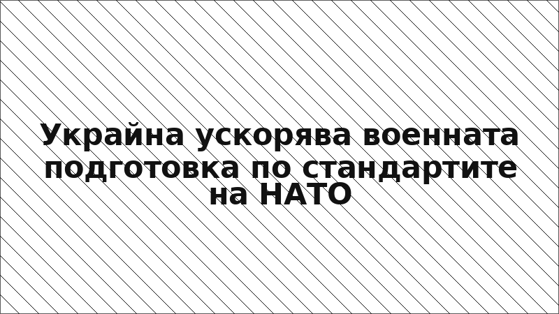 Украйна ускорява военната подготовка по стандартите на НАТО