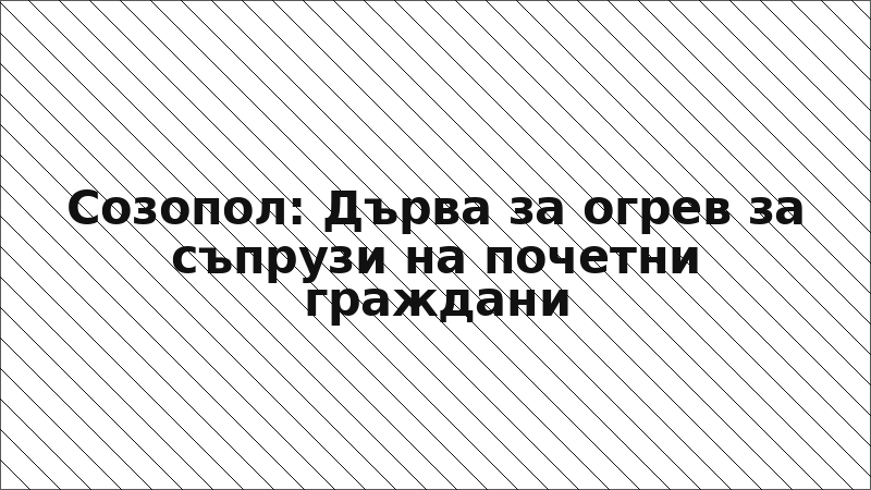 Созопол: Дърва за огрев за съпрузи на почетни граждани
