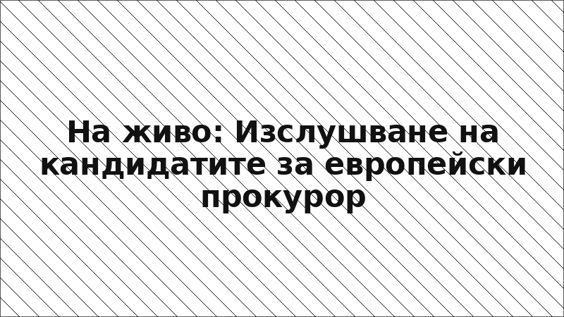На живо: Изслушване на кандидатите за европейски прокурор