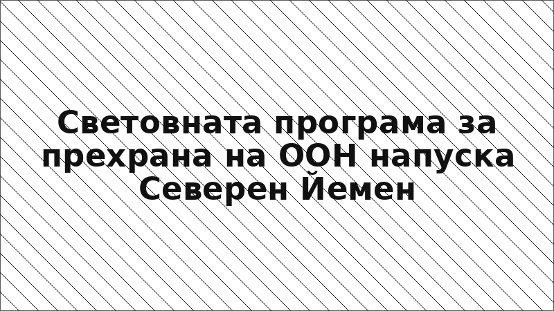 Световната програма за прехрана на ООН напуска Северен Йемен