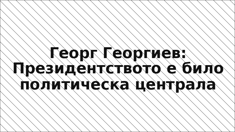 Георг Георгиев: Президентството е било политическа централа