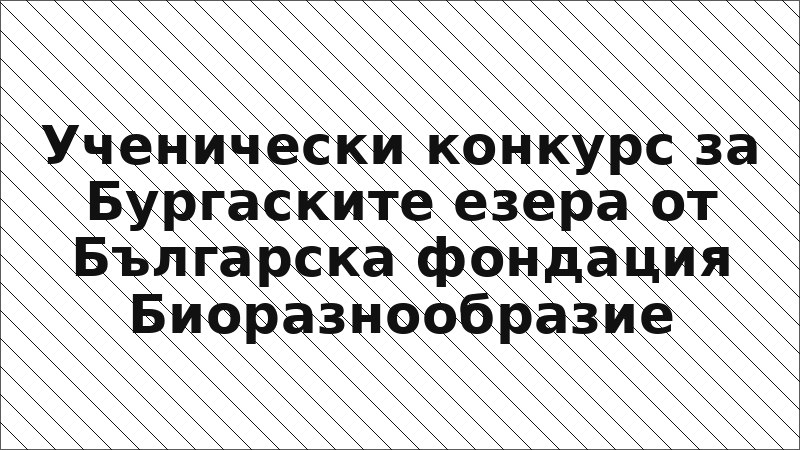 Ученически конкурс за Бургаските езера от Българска фондация Биоразнообразие