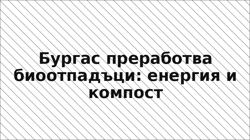 Бургас преработва биоотпадъци: енергия и компост