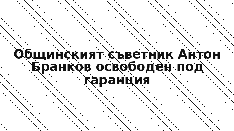 Общинският съветник Антон Бранков освободен под гаранция