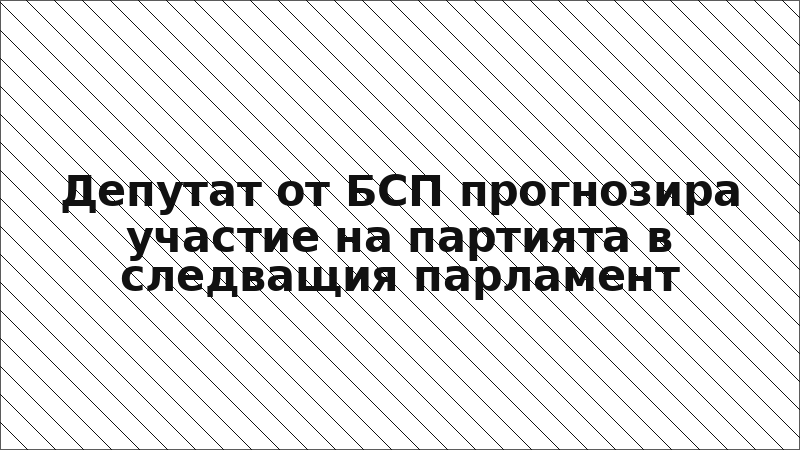 Депутат от БСП прогнозира участие на партията в следващия парламент