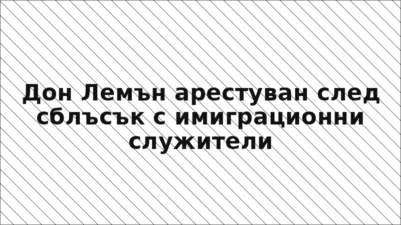 Дон Лемън арестуван след сблъсък с имиграционни служители