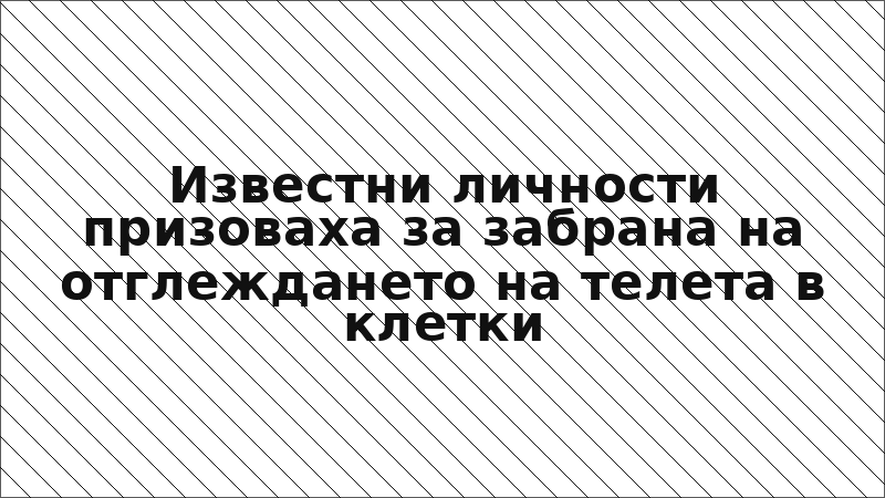 Известни личности призоваха за забрана на отглеждането на телета в клетки