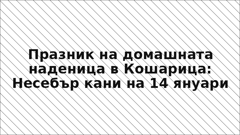 Празник на домашната наденица в Кошарица: Несебър кани на 14 януари