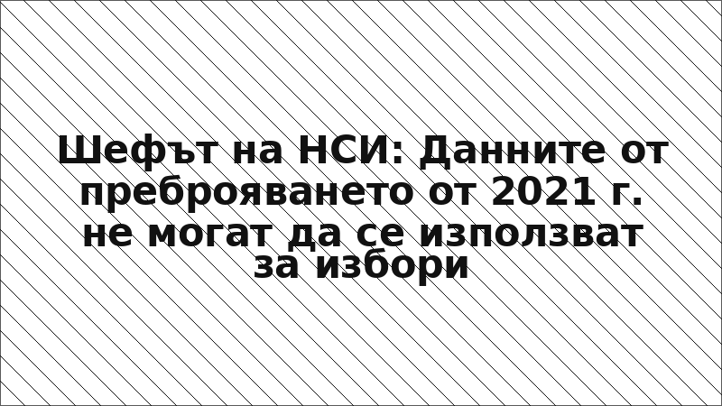 Шефът на НСИ: Данните от преброяването от 2021 г. не могат да се използват за избори
