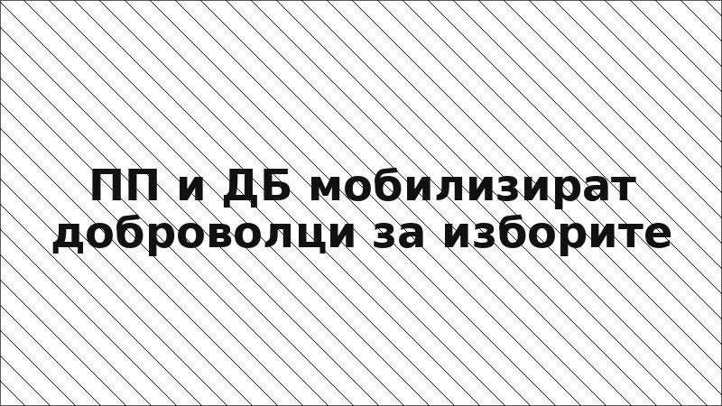 ПП и ДБ мобилизират доброволци за изборите