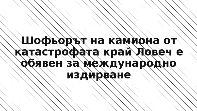 Шофьорът на камиона от катастрофата край Ловеч е обявен за международно издирване
