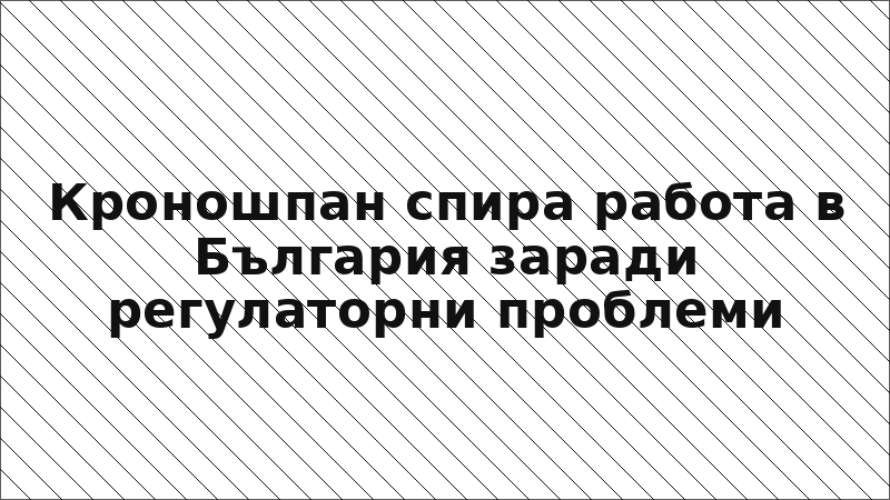Кроношпан спира работа в България заради регулаторни проблеми