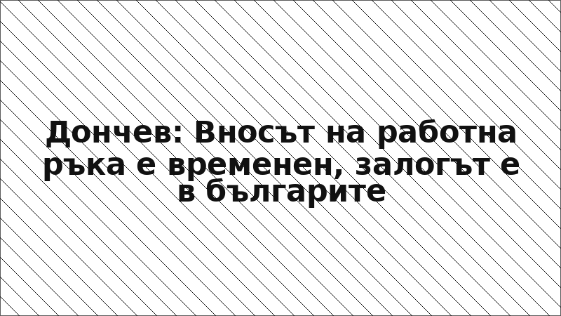 Дончев: Вносът на работна ръка е временен, залогът е в българите