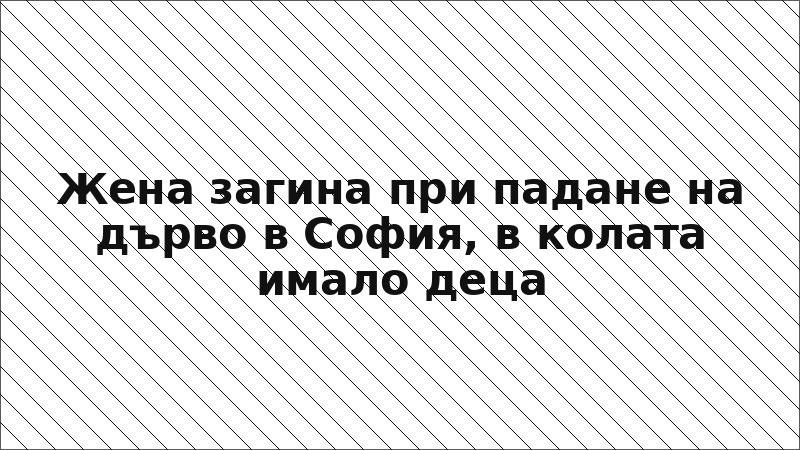 Жена загина при падане на дърво в София, в колата имало деца