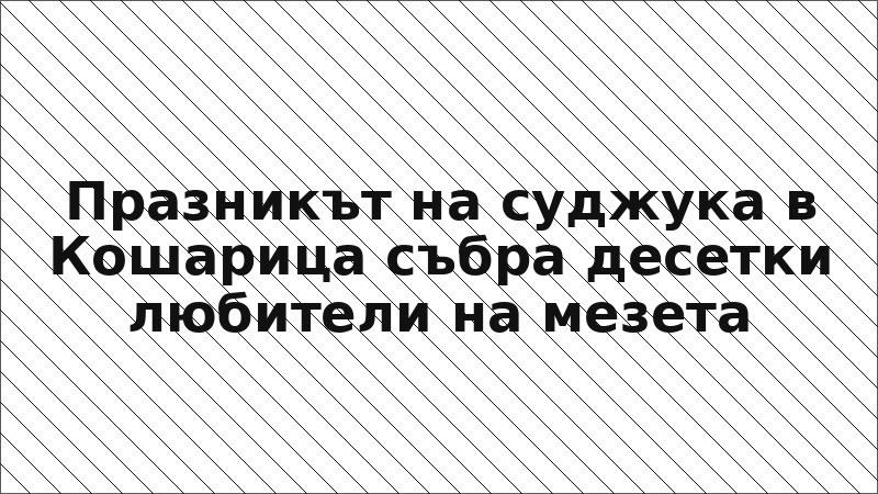 Празникът на суджука в Кошарица събра десетки любители на мезета
