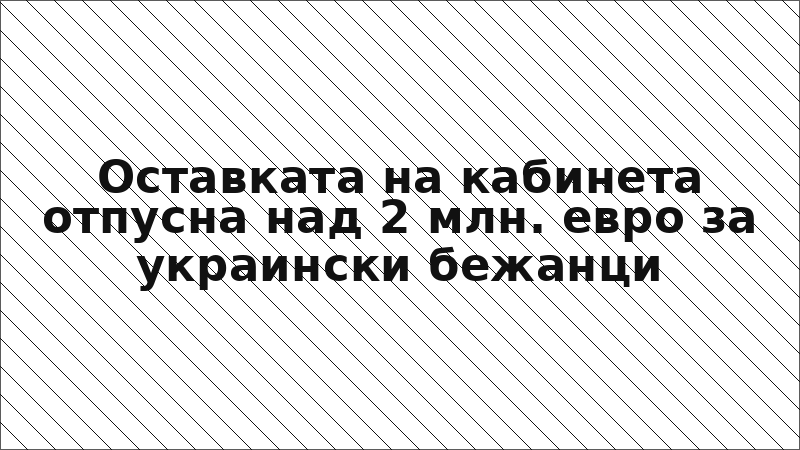 Оставката на кабинета отпусна над 2 млн. евро за украински бежанци
