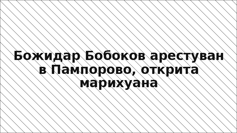 Божидар Бобоков арестуван в Пампорово, открита марихуана