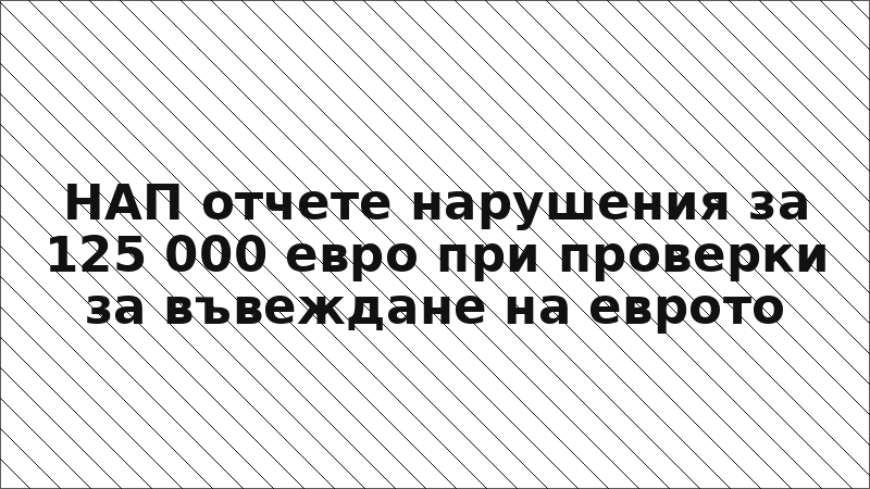 НАП отчете нарушения за 125 000 евро при проверки за въвеждане на еврото