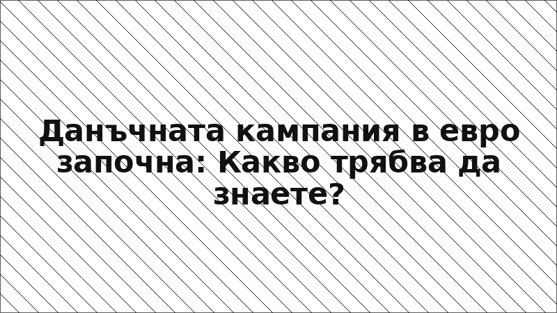 Данъчната кампания в евро започна: Какво трябва да знаете?
