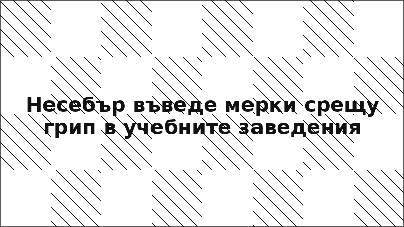 Несебър въведе мерки срещу грип в учебните заведения