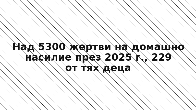 Над 5300 жертви на домашно насилие през 2025 г., 229 от тях деца