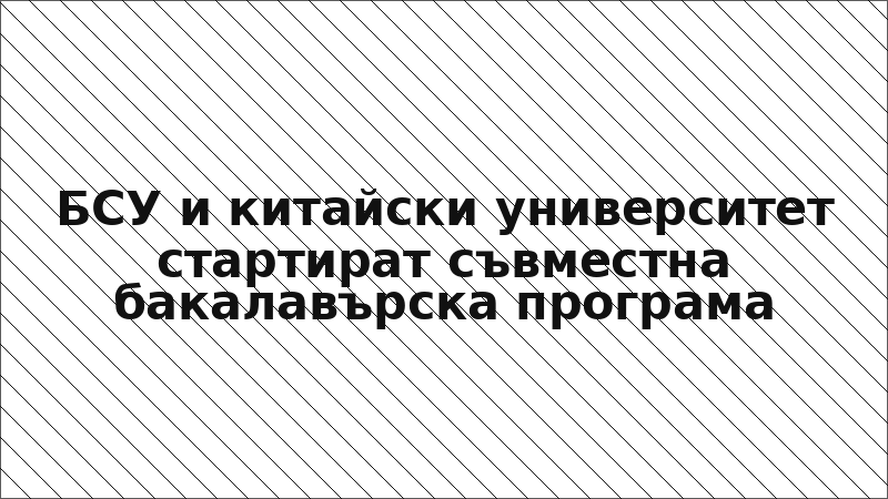 БСУ и китайски университет стартират съвместна бакалавърска програма