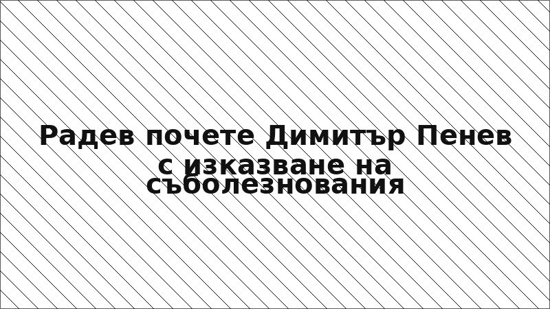 Радев почете Димитър Пенев с изказване на съболезнования