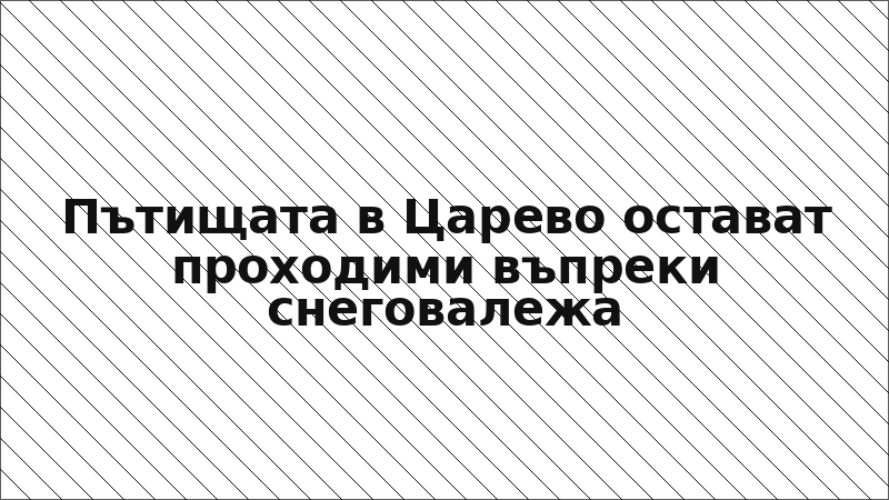 Пътищата в Царево остават проходими въпреки снеговалежа