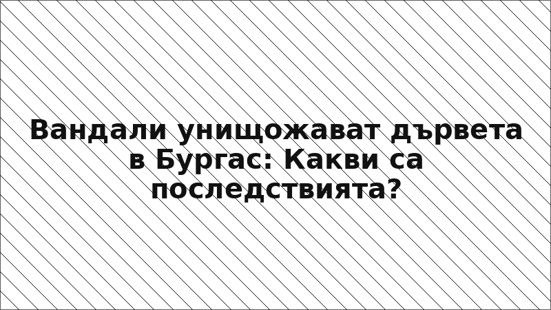 Вандали унищожават дървета в Бургас: Какви са последствията?