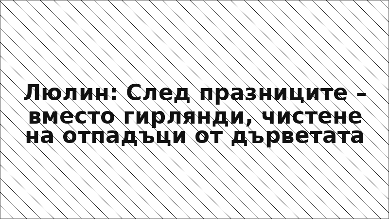 Люлин: След празниците – вместо гирлянди, чистене на отпадъци от дърветата