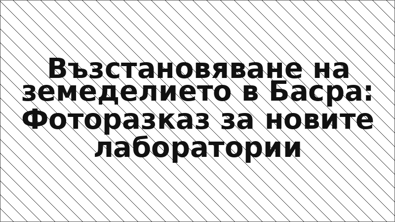Възстановяване на земеделието в Басра: Фоторазказ за новите лаборатории