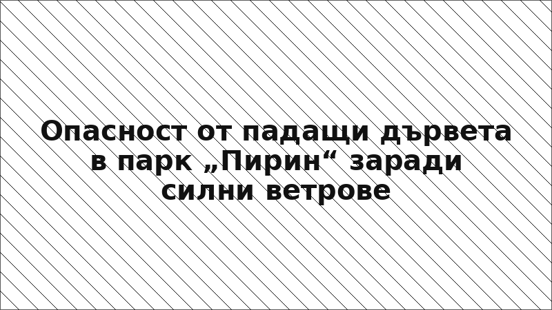 Опасност от падащи дървета в парк „Пирин“ заради силни ветрове