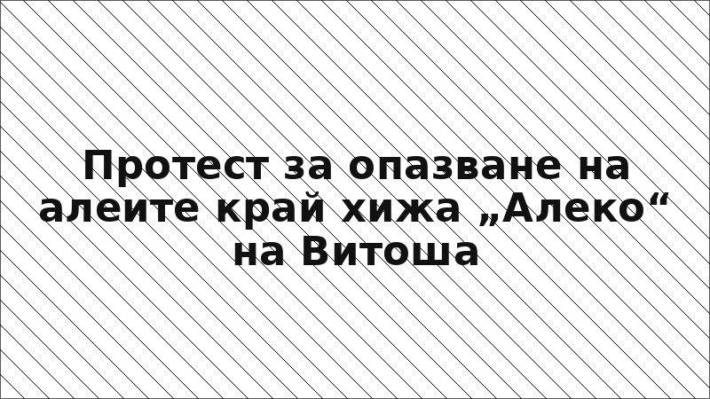 Протест за опазване на алеите край хижа „Алеко“ на Витоша
