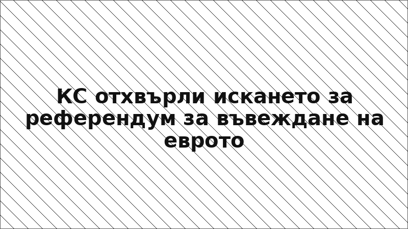 КС отхвърли искането за референдум за въвеждане на еврото