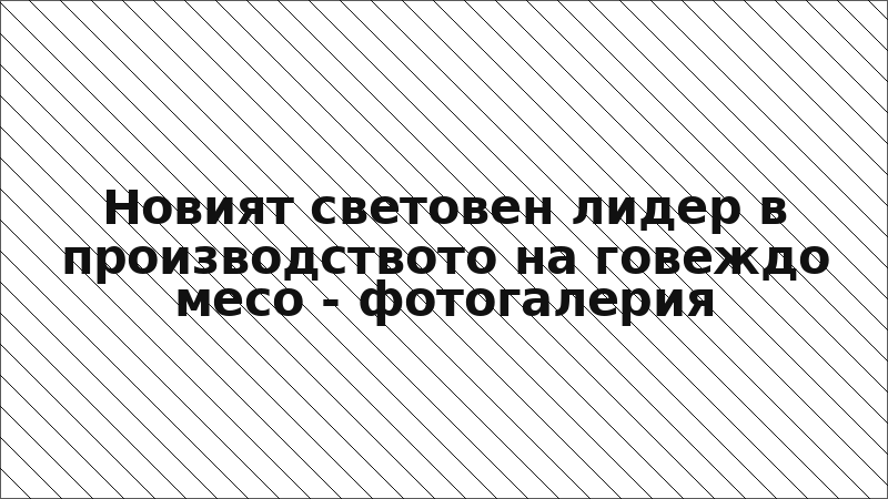 Новият световен лидер в производството на говеждо месо - фотогалерия