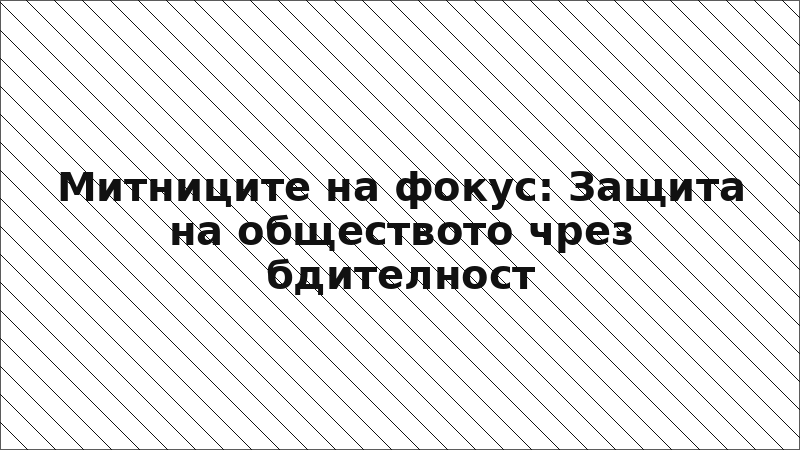 Митниците на фокус: Защита на обществото чрез бдителност