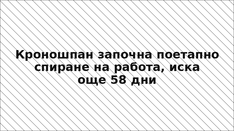 Кроношпан започна поетапно спиране на работа, иска още 58 дни