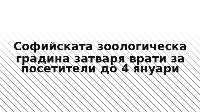 Софийската зоологическа градина затваря врати за посетители до 4 януари