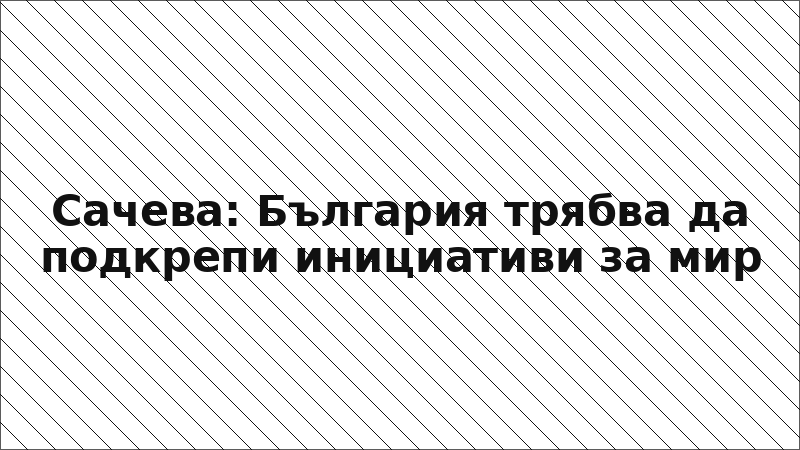 Сачева: България трябва да подкрепи инициативи за мир