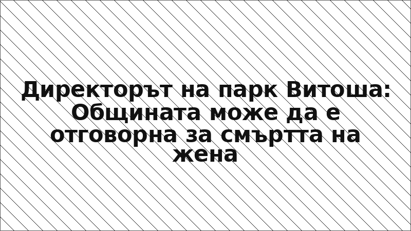 Директорът на парк Витоша: Общината може да е отговорна за смъртта на жена
