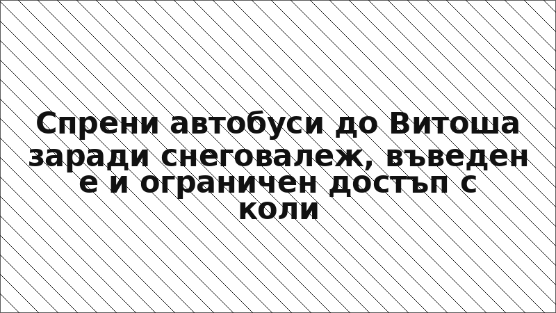 Спрени автобуси до Витоша заради снеговалеж, въведен е и ограничен достъп с коли