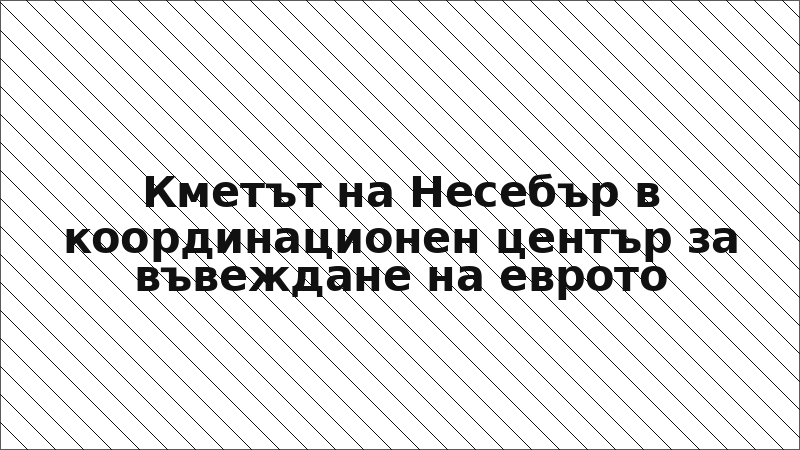 Кметът на Несебър в координационен център за въвеждане на еврото