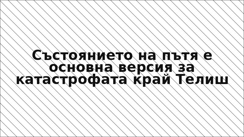 Състоянието на пътя е основна версия за катастрофата край Телиш