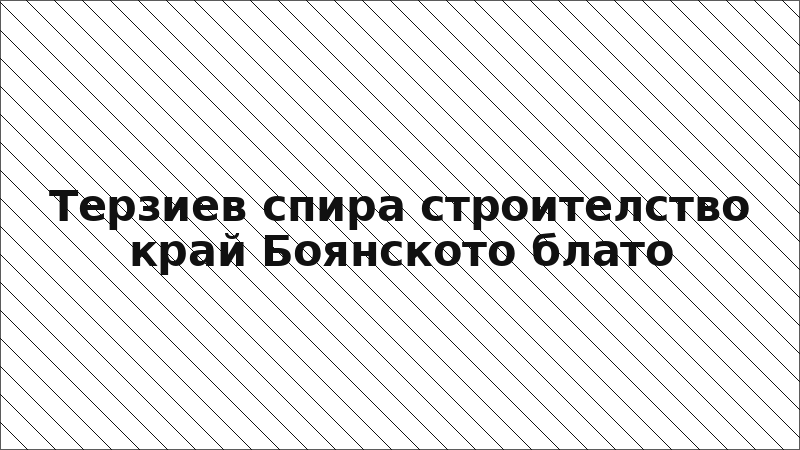 Терзиев спира строителство край Боянското блато