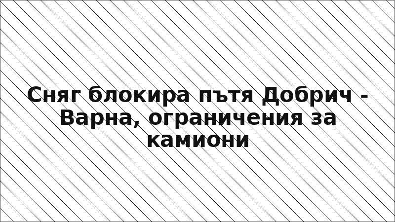 Сняг блокира пътя Добрич - Варна, ограничения за камиони