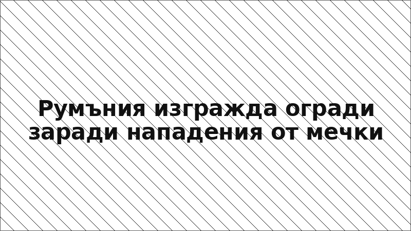 Румъния изгражда огради заради нападения от мечки