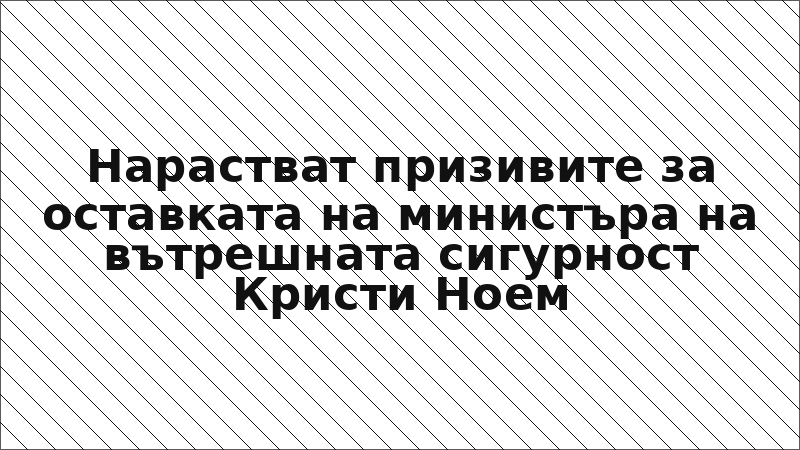 Нарастват призивите за оставката на министъра на вътрешната сигурност Кристи Ноем
