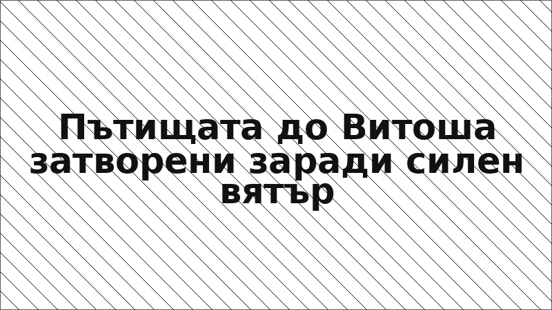 Пътищата до Витоша затворени заради силен вятър